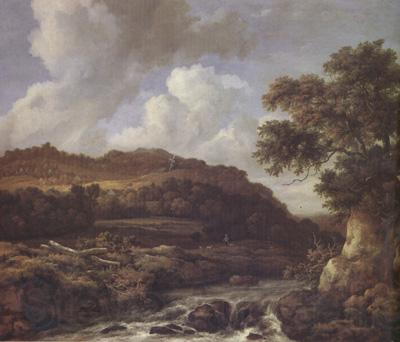 Jacob van Ruisdael A Mountainous Wooded Landscape with a Torrent (nn03) France oil painting art